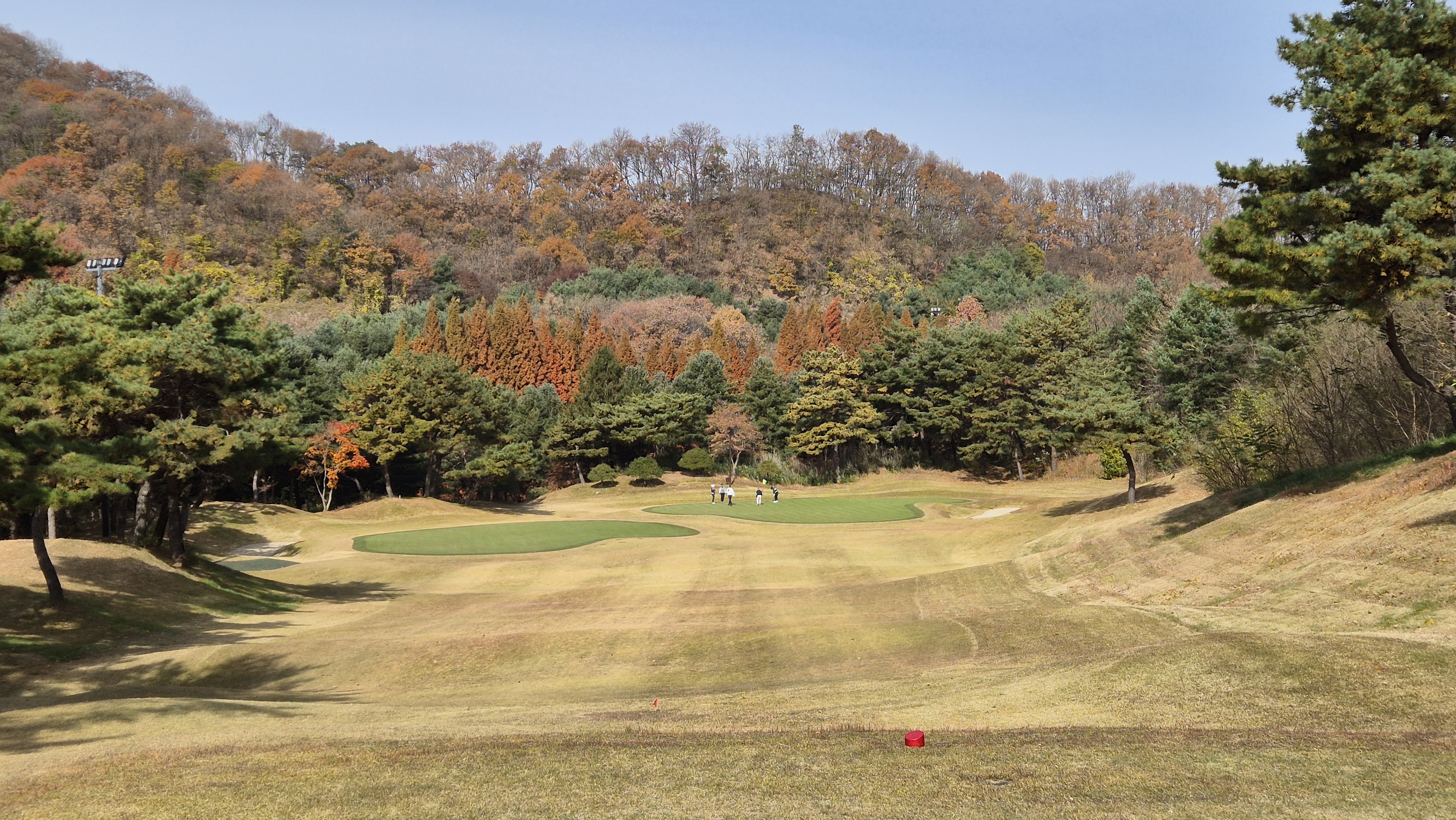 세종에머슨cc 마운틴코스 사진 및 공략 정보