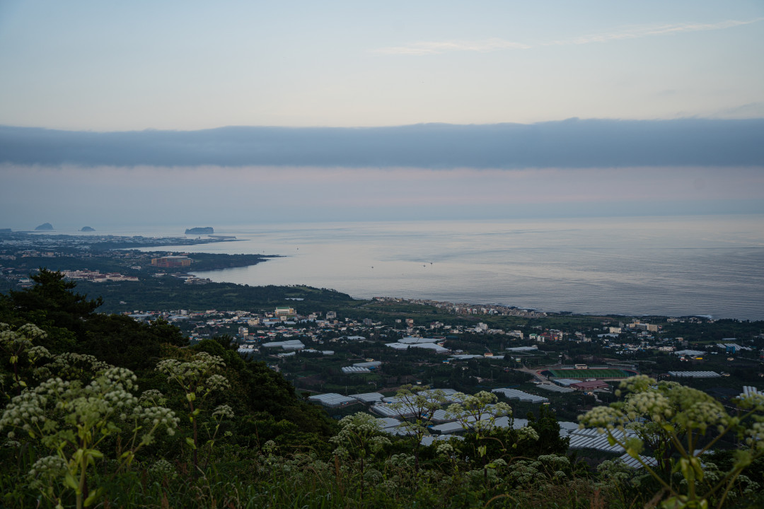 군산 오름 정상 풍경