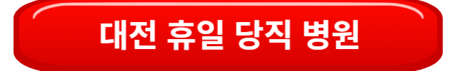 대전휴일당직병원