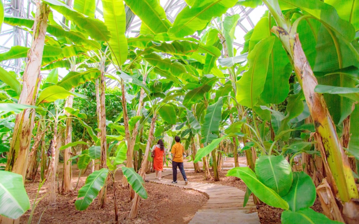 여미지식물원(3)