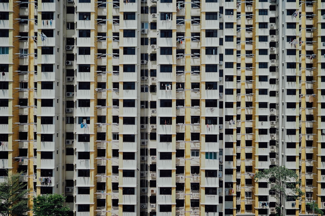 '공공임대' (Public Rental)