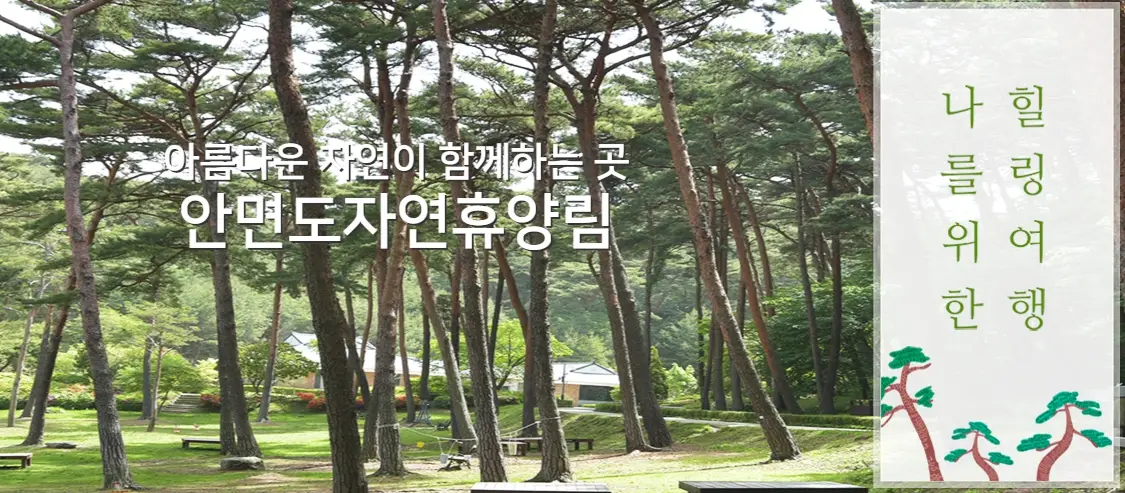 태안 튤립축제 주변 여행지 추천 TOP 5