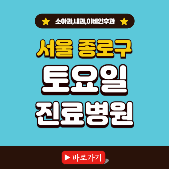 서울 종로구 토요일 진료 병원 찾기 ❘ 주말 문여는 소아과, 내과, 이비인후과 리스트