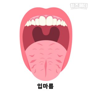 액티피드 시럽 용량