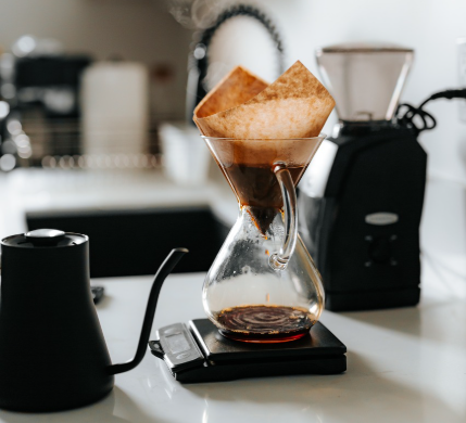 커피의 재배와 생산 과정