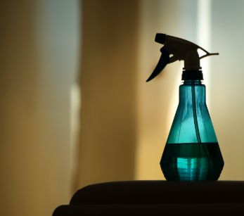 파충류 무더위 여름 생존 꿀팁 (에어컨 X, 꿀템 활용하기) (이미지 pixabay)