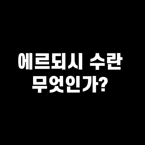 에르되시 수란 무엇인가?