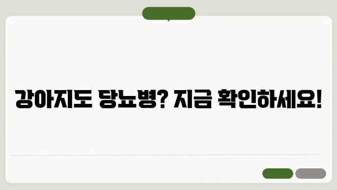 강아지의 당뇨병 관리 방법