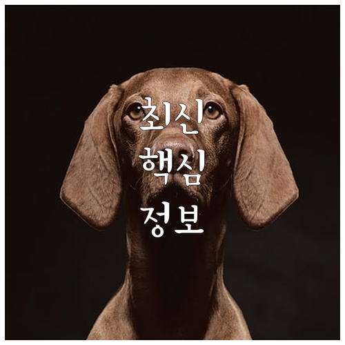 2025 은평구 유축기 무료 대여 신..