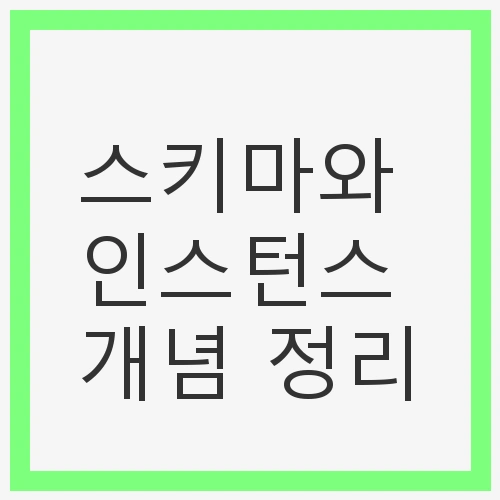스키마의 정의