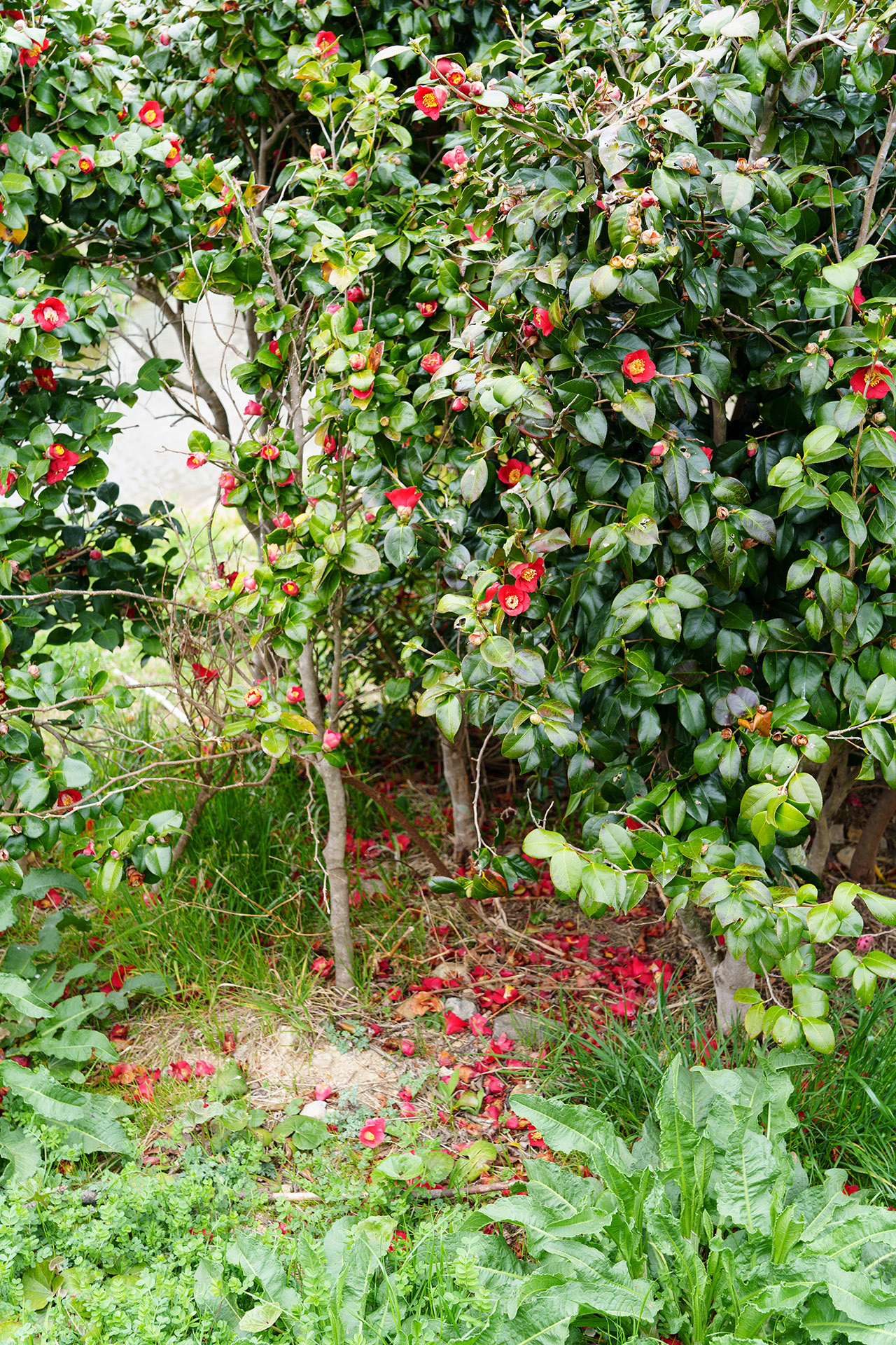 오륙도 해맞이공원