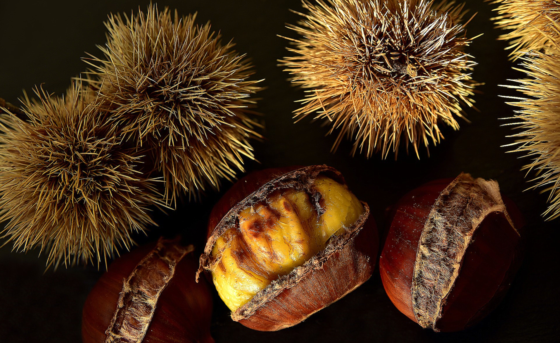 생율 효능 부작용