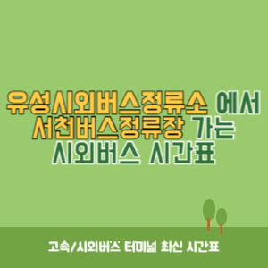 유성시외버스정류소에서 서천버스정류장 가는 시외버스 시간표 최신정보