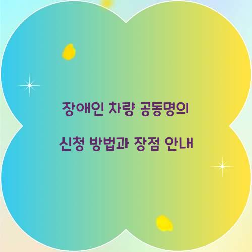 장애인 차량 공동명의