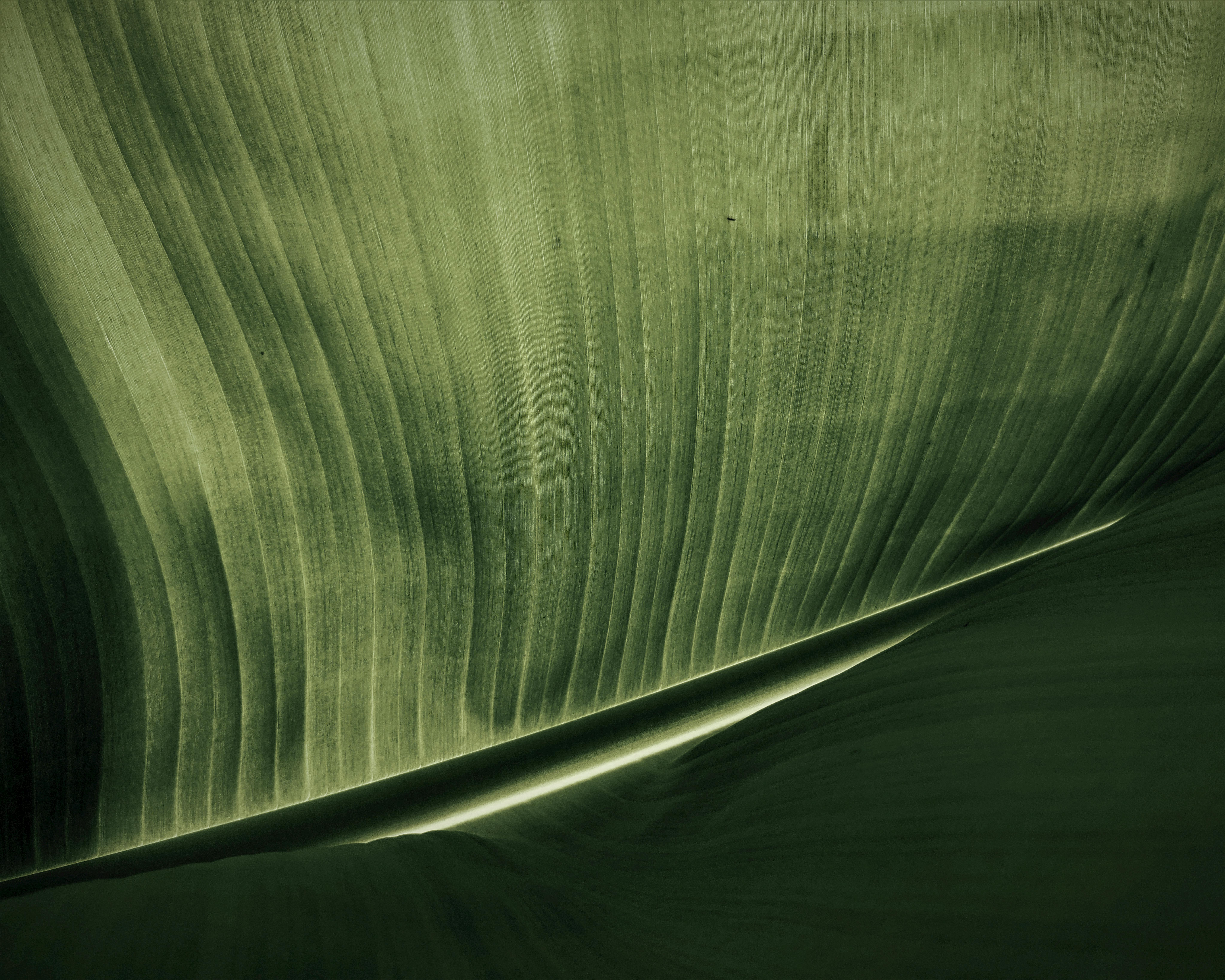 벌거벗고 일하는데 소리가 전혀 안 들리는을 상징하는 이미지