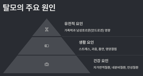 탈모 원인, 특징(초기증상), 예방관리(샴푸,영양제,약,좋은음식) 방법 총정리