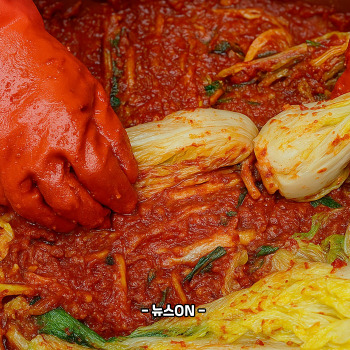 김장김치 무르는 이유