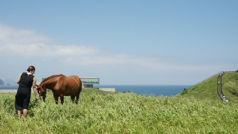 제주 7월 8월 날씨 특징, 옷차림, 여행 준비물 추천, 여름제주 주의사항