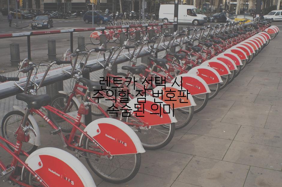 렌트카 선택 시 주의할 점 번호판 속숨된 의미