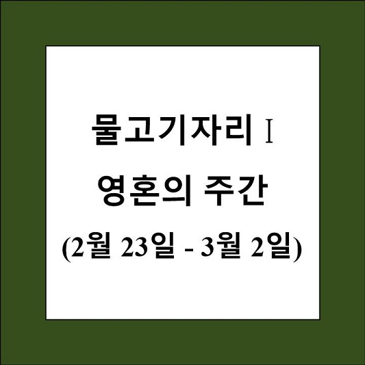 48 별자리 물고기자리 1 제목 상자