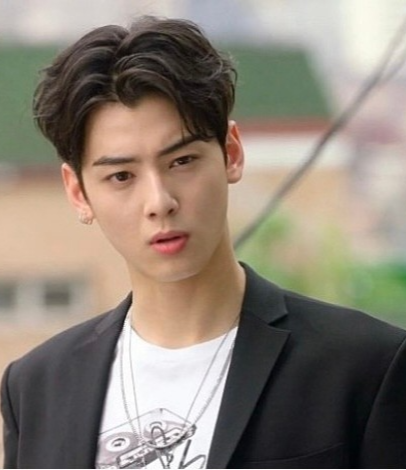 최고의한방차은우