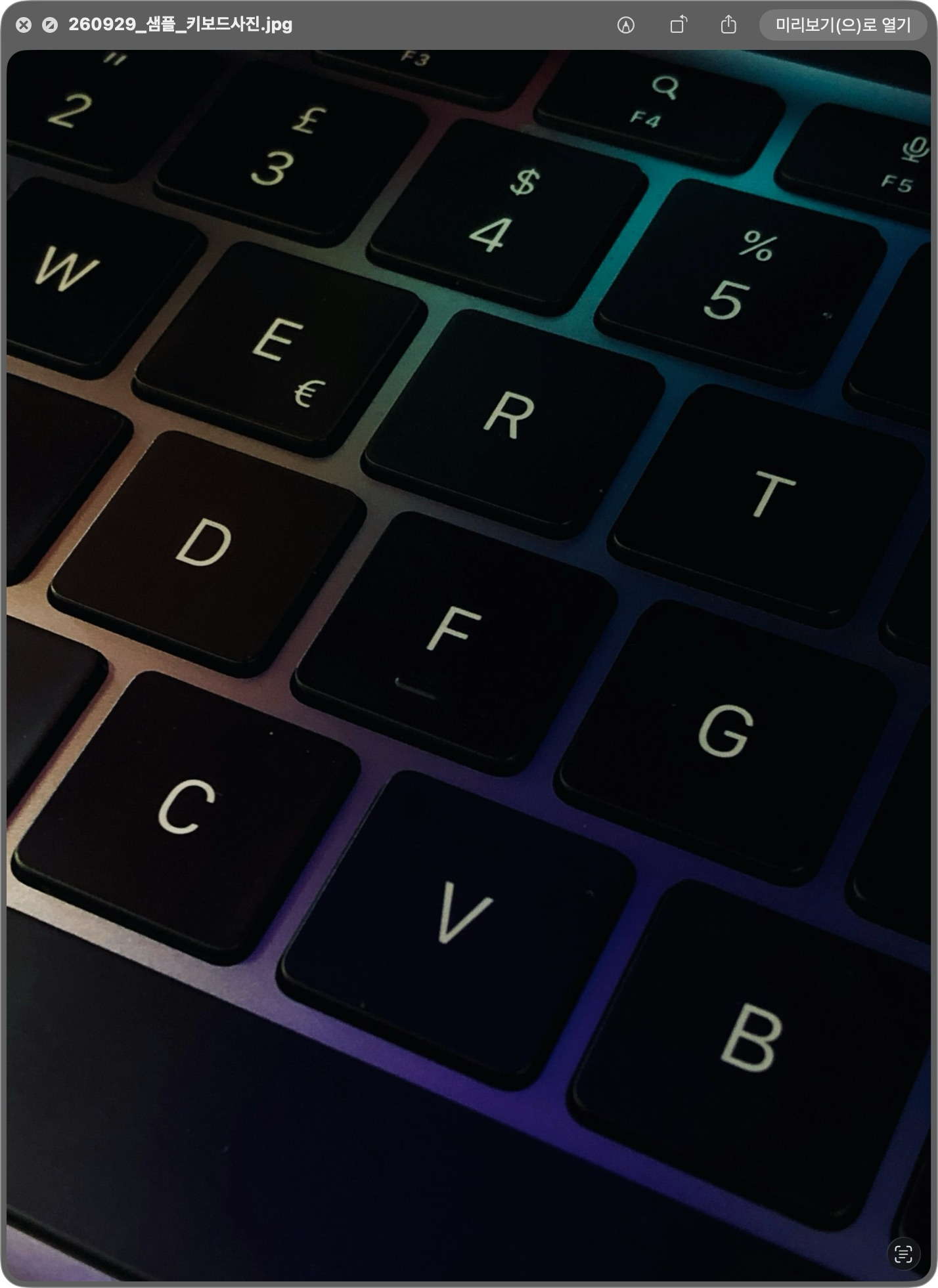 사진 파일을 표시한 macOS 훑어보기 창