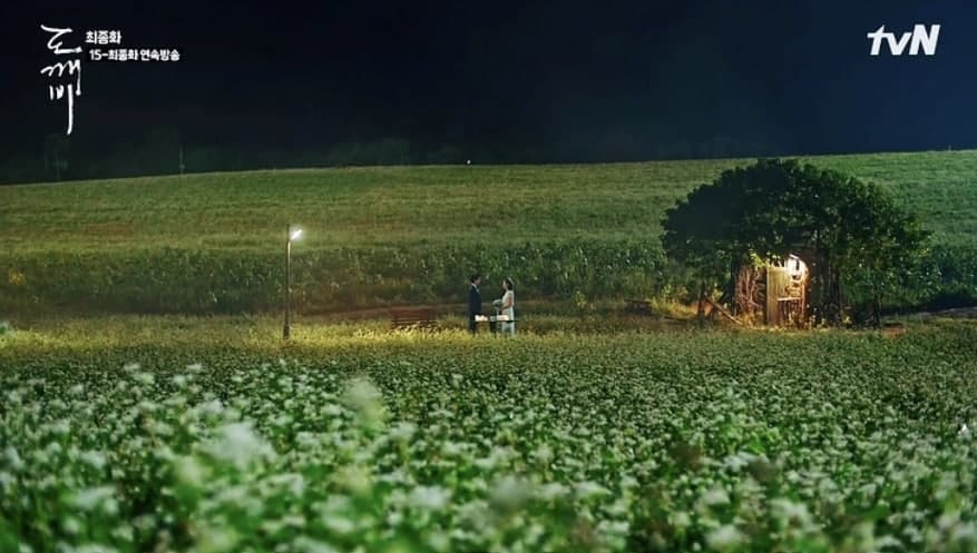 [4월~5월 축제]2025 고창 청보리밭 축제❘ 폭싹 속았수다 유채꽃밭, 연인 유채꽃밭, 도깨비 메밀꽃밭 촬영지, 일정, 기간, 주차(4/5일 방문 후기)