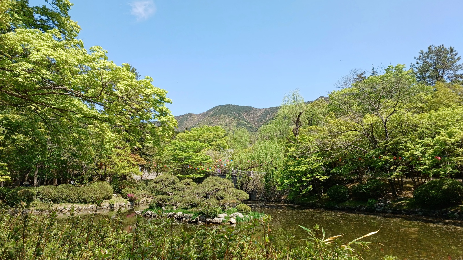 경주 불국사 반야연지