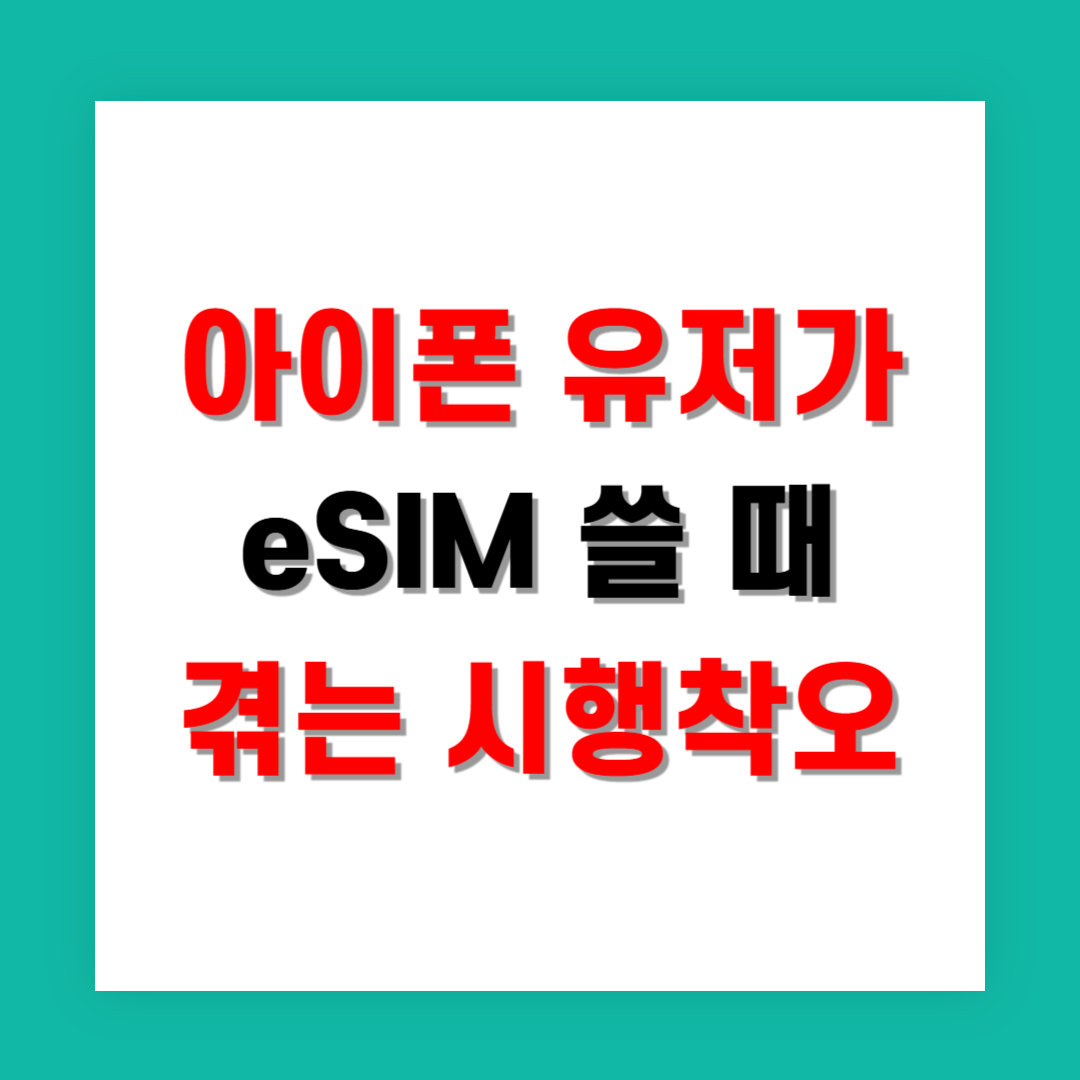 아이폰 유저가 처음 eSIM 쓸 때 겪는 시행착오