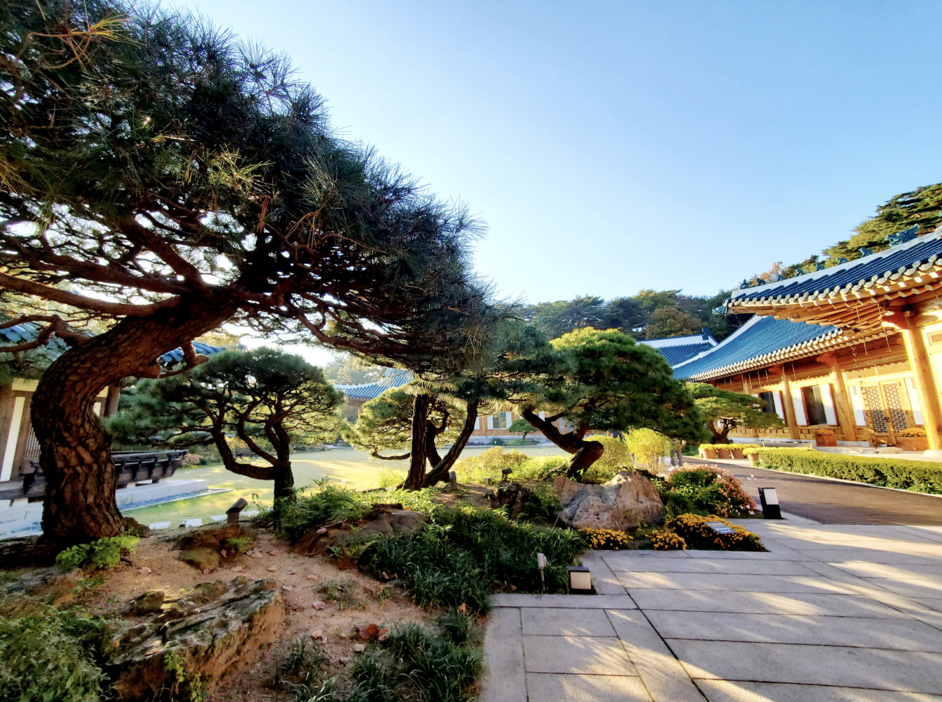 2025 청와대 밤마실&amp;#44; 6일간의 특별한 개방 봄밤 특별한 산책 예약 시작