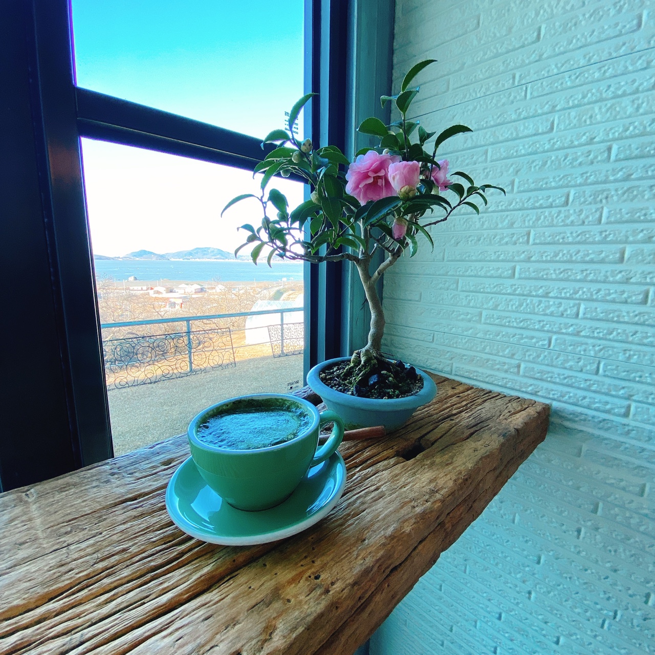 강화도 야생화 뜰 카페