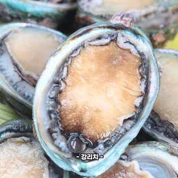 전복 손질하는 법