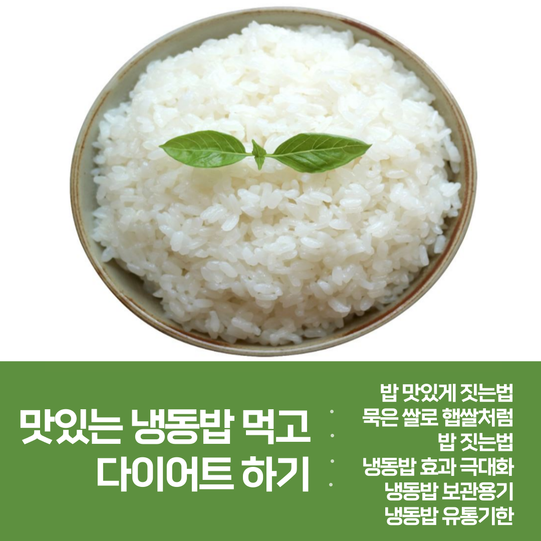 냉동밥 당뇨 다이어트