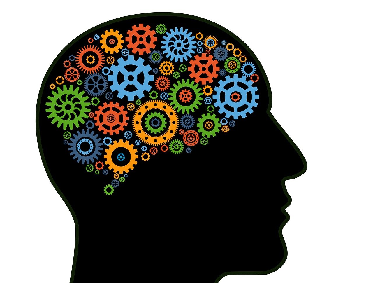 인간의 머리 속 이미지