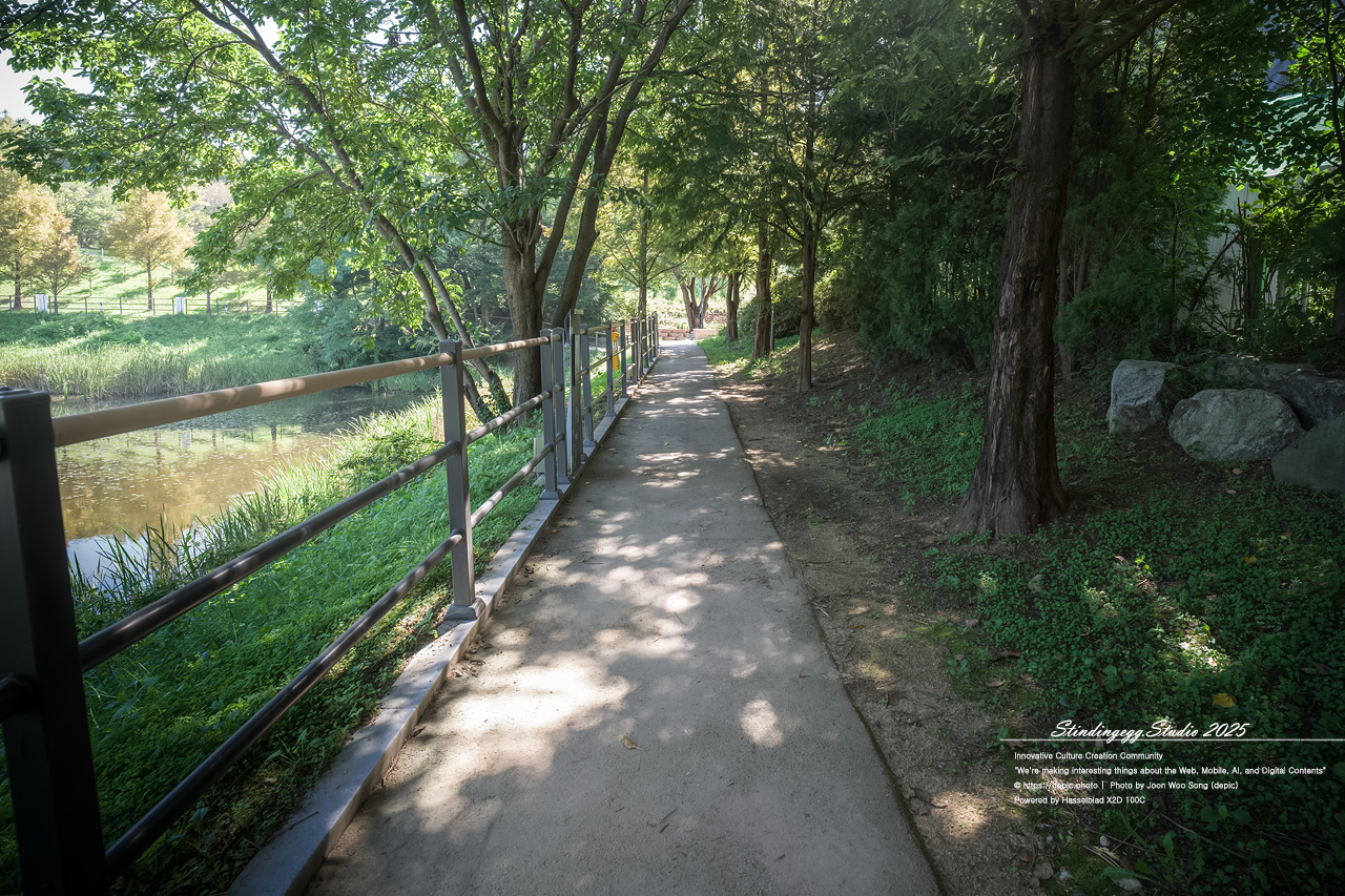 #청주 #오창 #구룡성당 #가톨릭