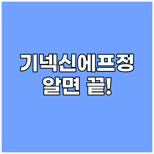 기넥신에프정80MG 이것만 알면 끝!..