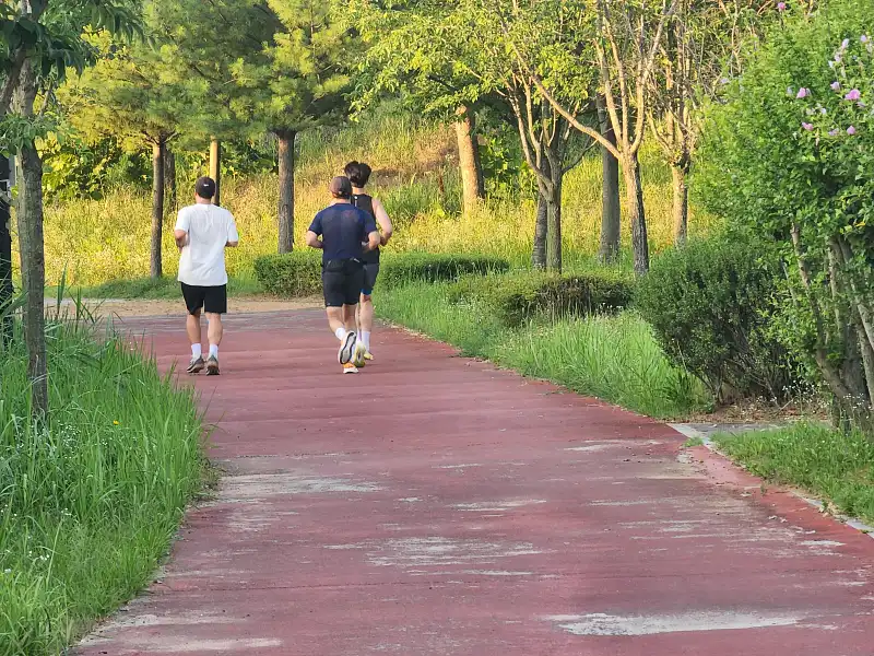 걷기 운동으로 콜레스테롤 낮춘 경험담