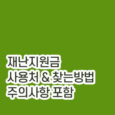 5차재난지원금_사용처_썸네일