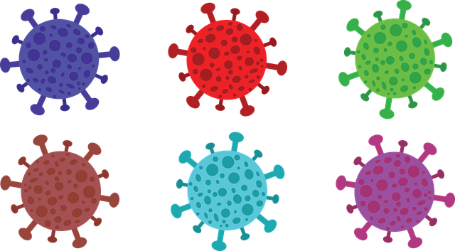 헬리코박터균 감염