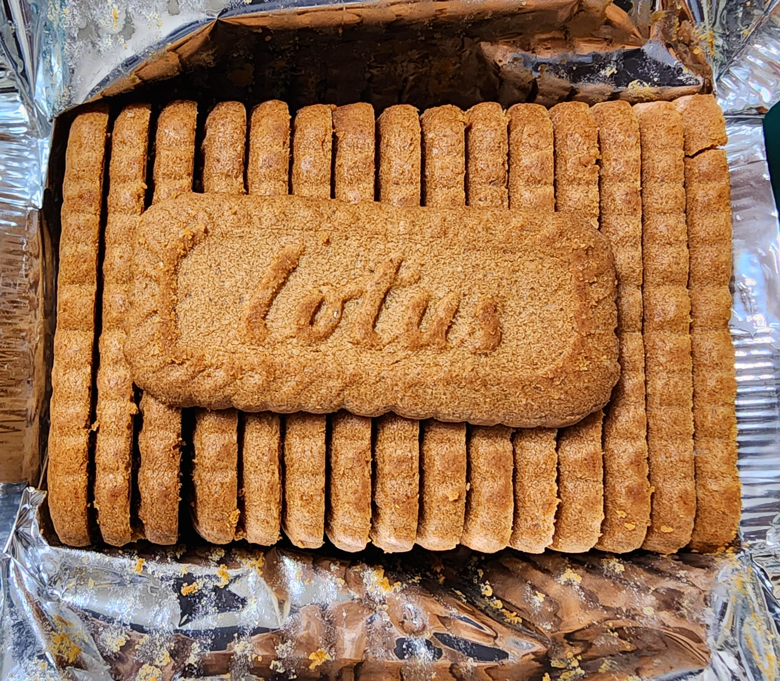 로투스비스코프