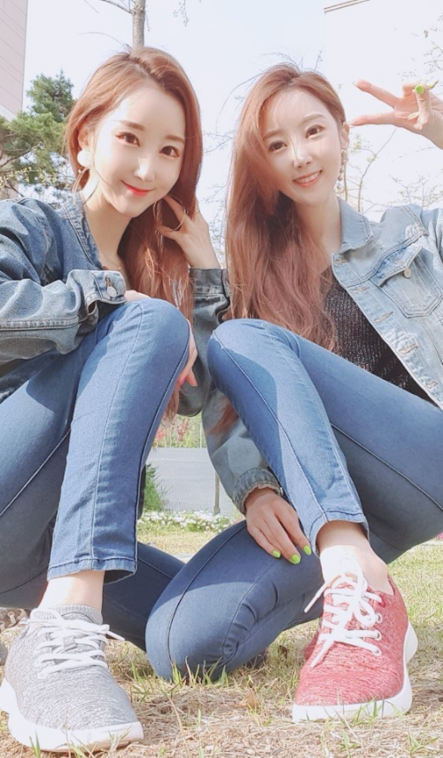 윙크 트로트