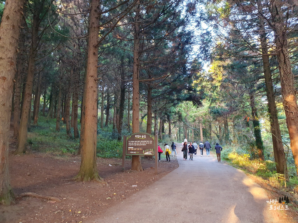 금오름 올라가는 길