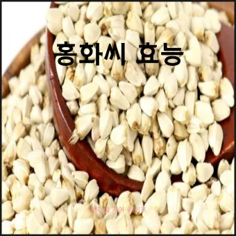 홍화씨 효능 영양성분 홍화씨유 먹는법_10