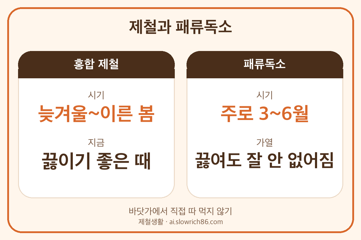 홍합 제철 겨울 패류독소 3월 6월 가열해도 남음