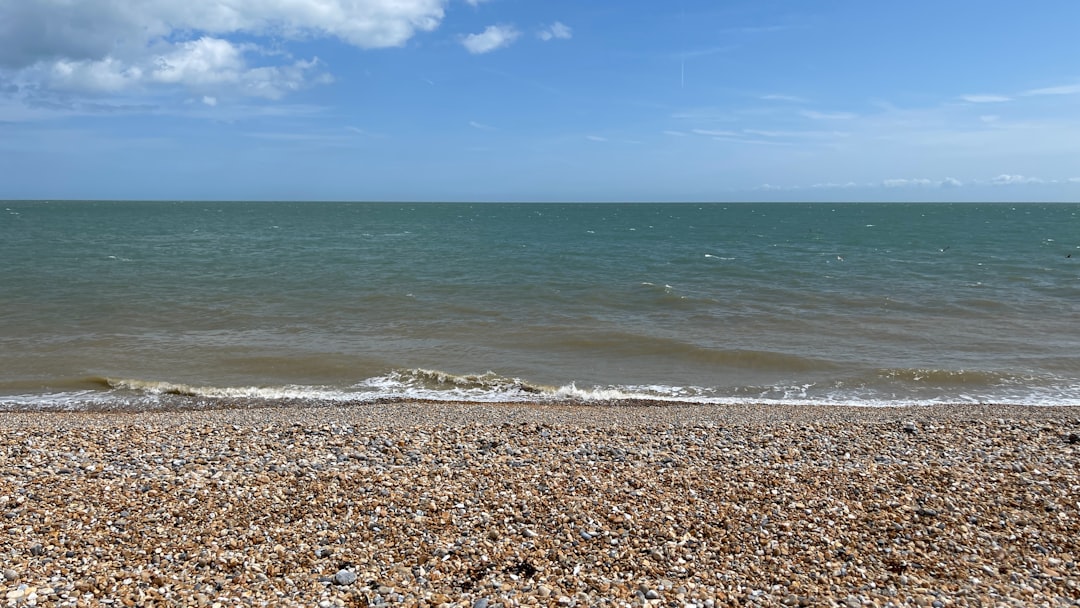 2025 파이코인 거래: 최근 동향과 전망을 한눈에 알아보기 관련 이미지 1