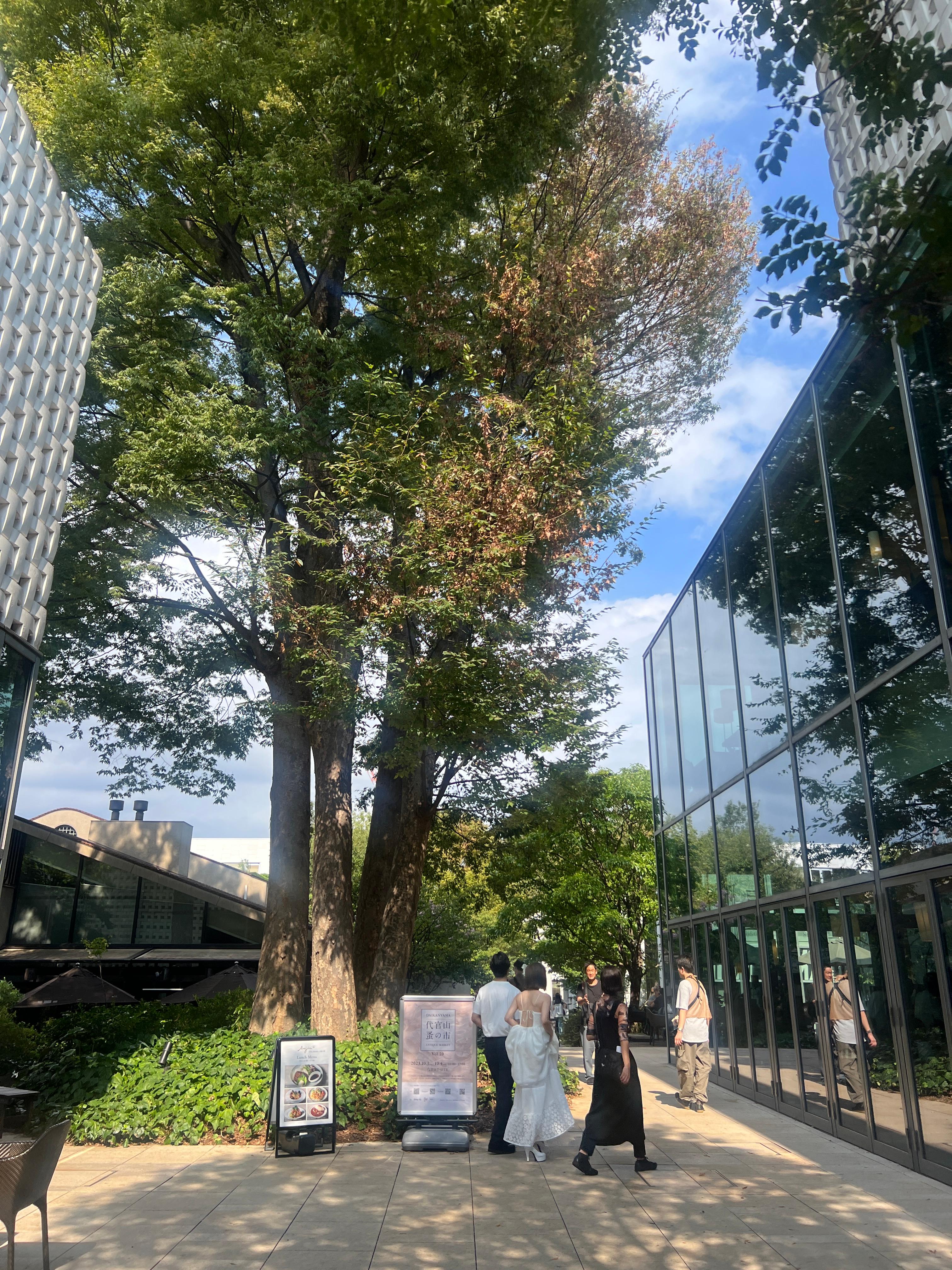 일본여행 참고 사진