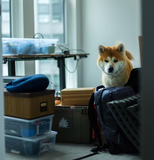 포장이사 잘하는 법 – 이사 준비 체크리스트