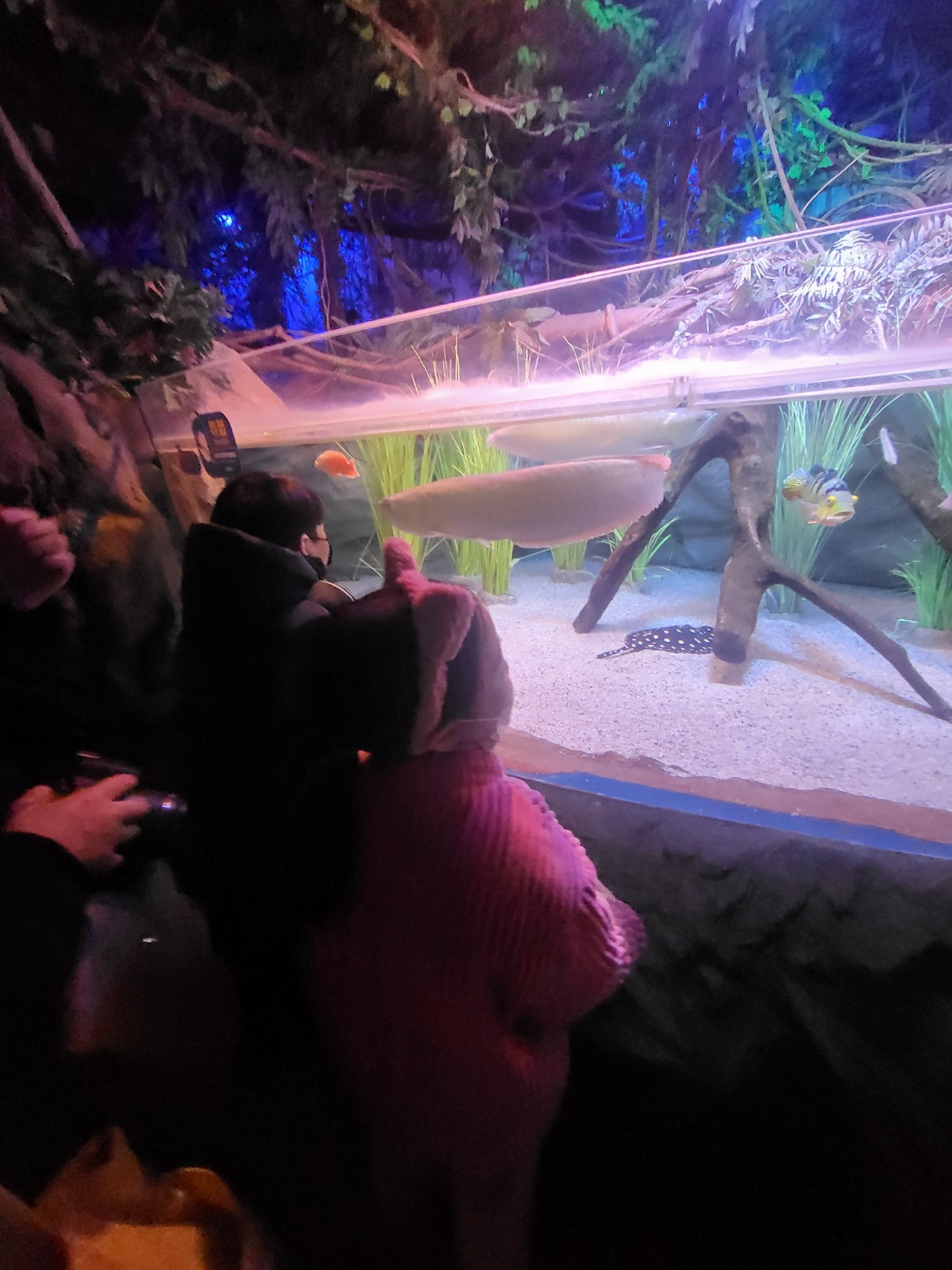 부산 아쿠아리움