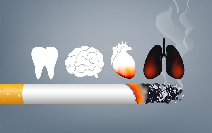 치아 뇌 혈관 폐 담배 유해