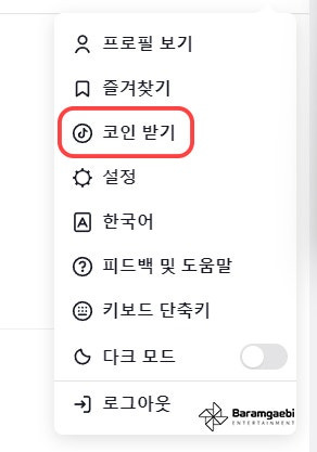 틱톡 코인 충전